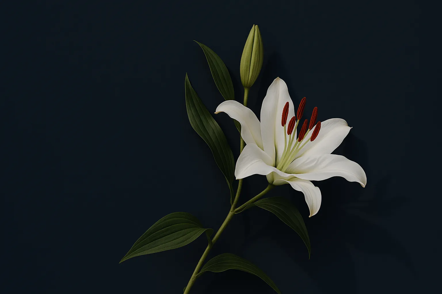 Hero 8